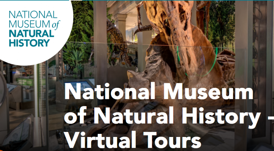 Smithsonian National Museum of Natural History